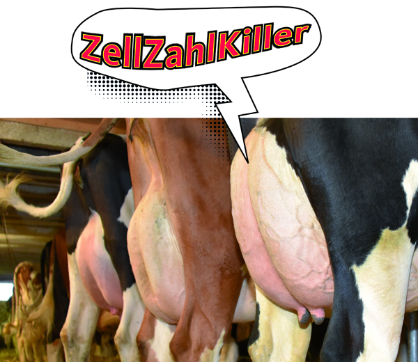 Zellzahlkiller Web De 600px520px72dpi